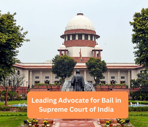 Leading Advocate for Bail in Supreme Court of India